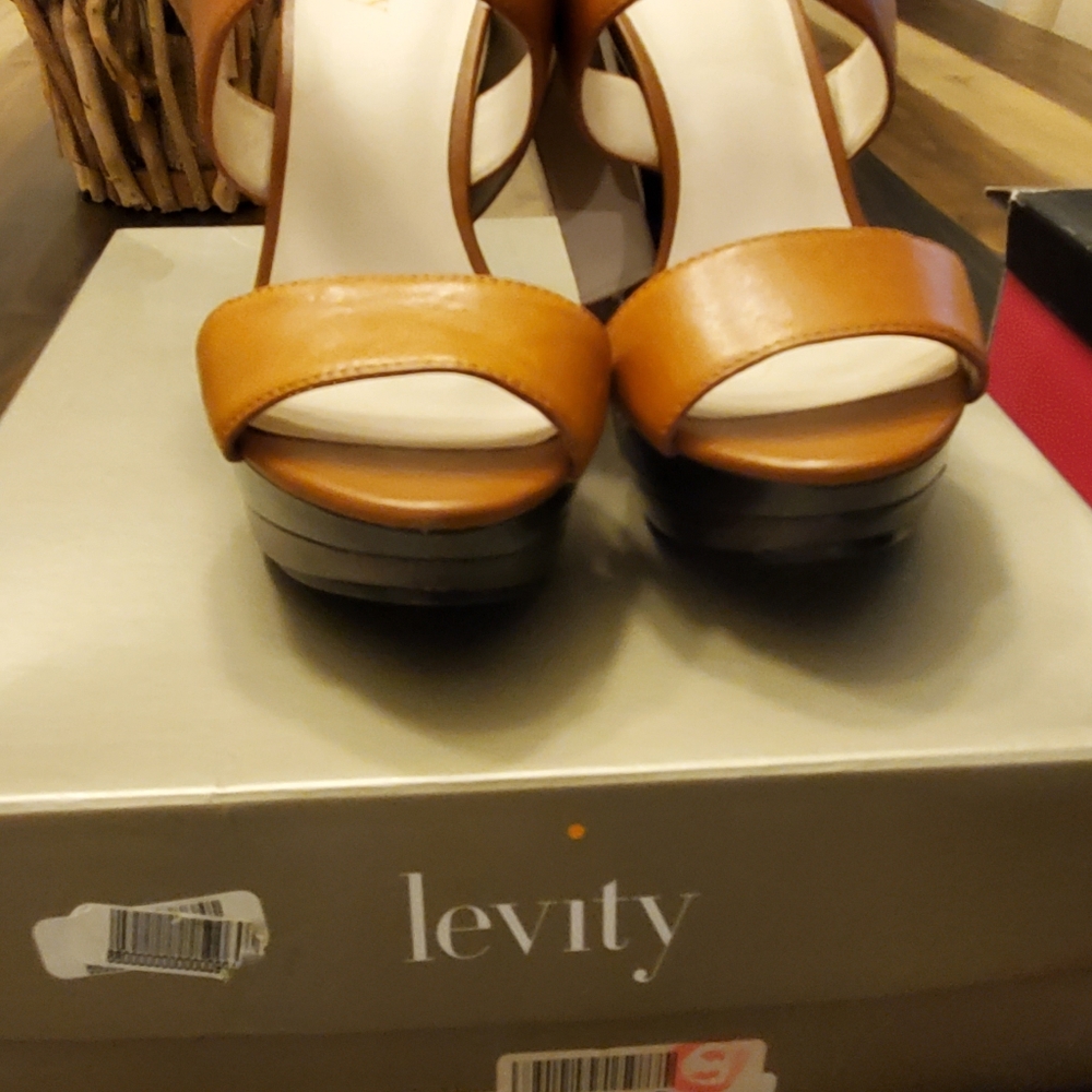 Levity - Picture 3 of 3